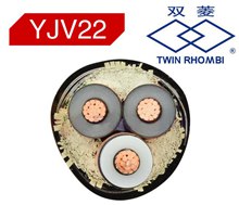 廣州電纜型號(hào)YJV22鎧裝電纜產(chǎn)品橫截面